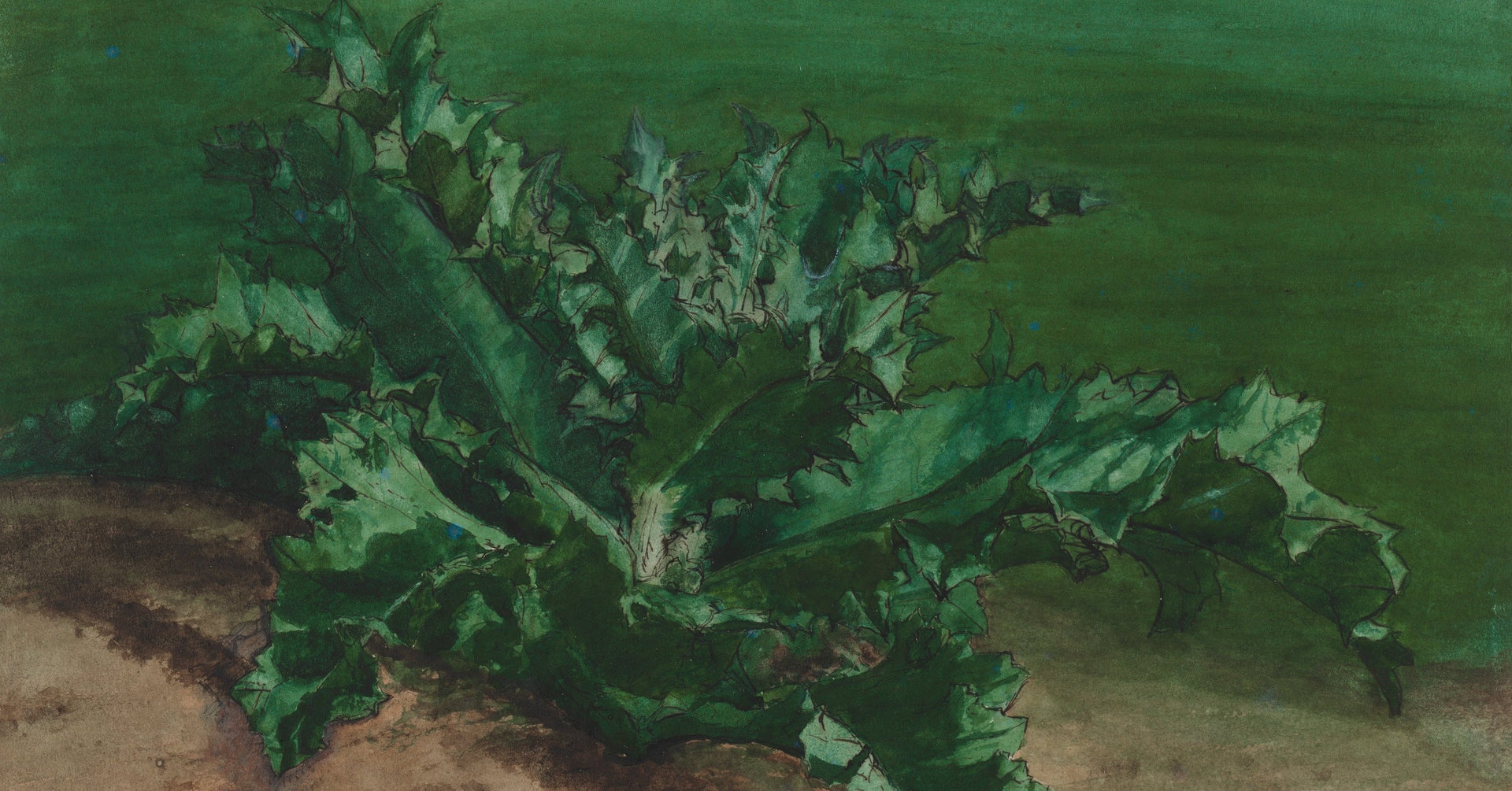 Study of a Plant Possibly Thistle by Leon Bonvin, fine art print