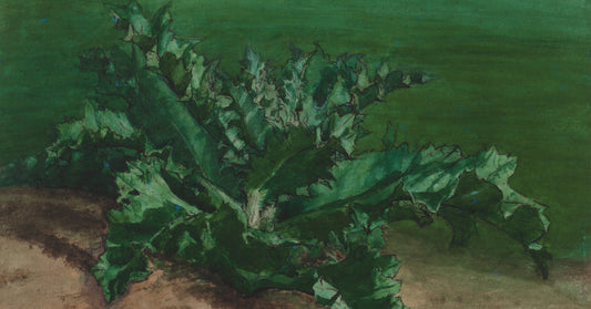 Study of a Plant Possibly Thistle by Leon Bonvin, fine art print