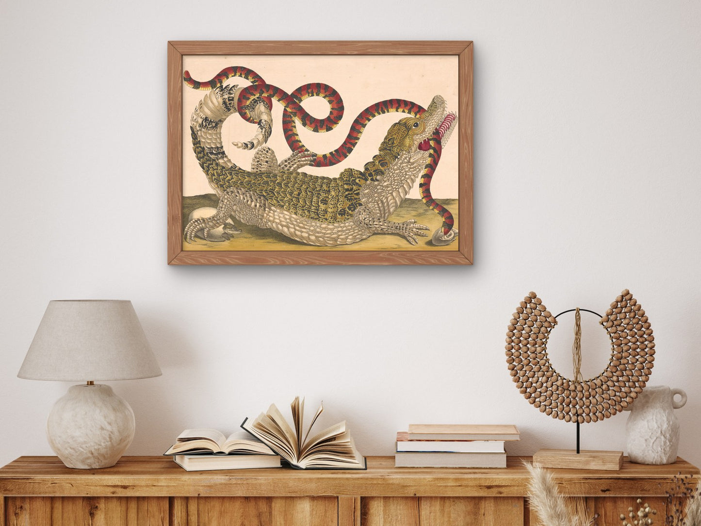 Caiman with South American False Coral Snake by Dorothea Maria Graff 1719, Wall Art Print, Fine Art Reproduction, Museum Quality Decor