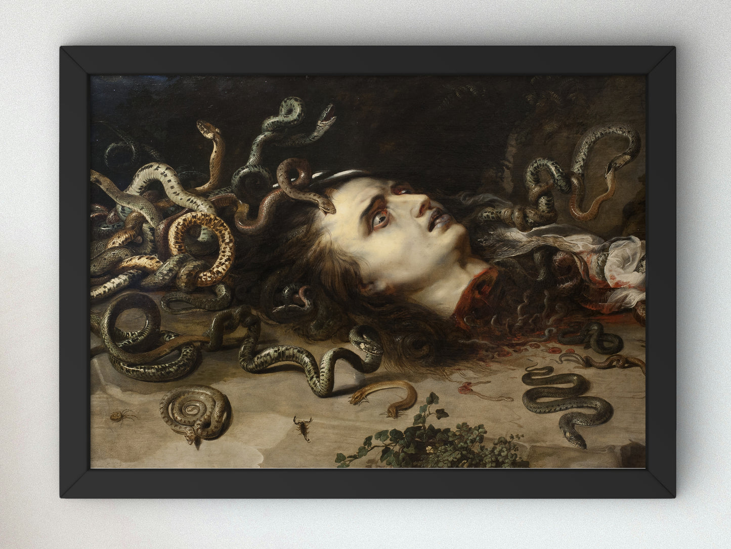 Head of Medusa by Peter Paul Rubens 1617, Wall Art Print, Fine Art Reproduction, Museum Quality Decor, Poster