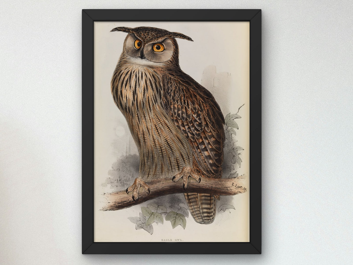 Eagle Owl by Edward Lear 1832, Wall Art Print, Fine Art Reproduction, Museum Quality Decor, Poster