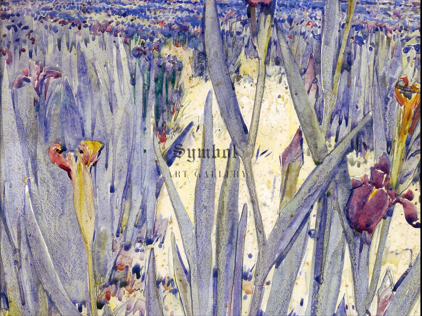 Iris Field Near Newcomb Greenhouse by Ellsworth Woodward 1911, Wall Art Print, Fine Art Reproduction, Museum Quality Decor, Poster
