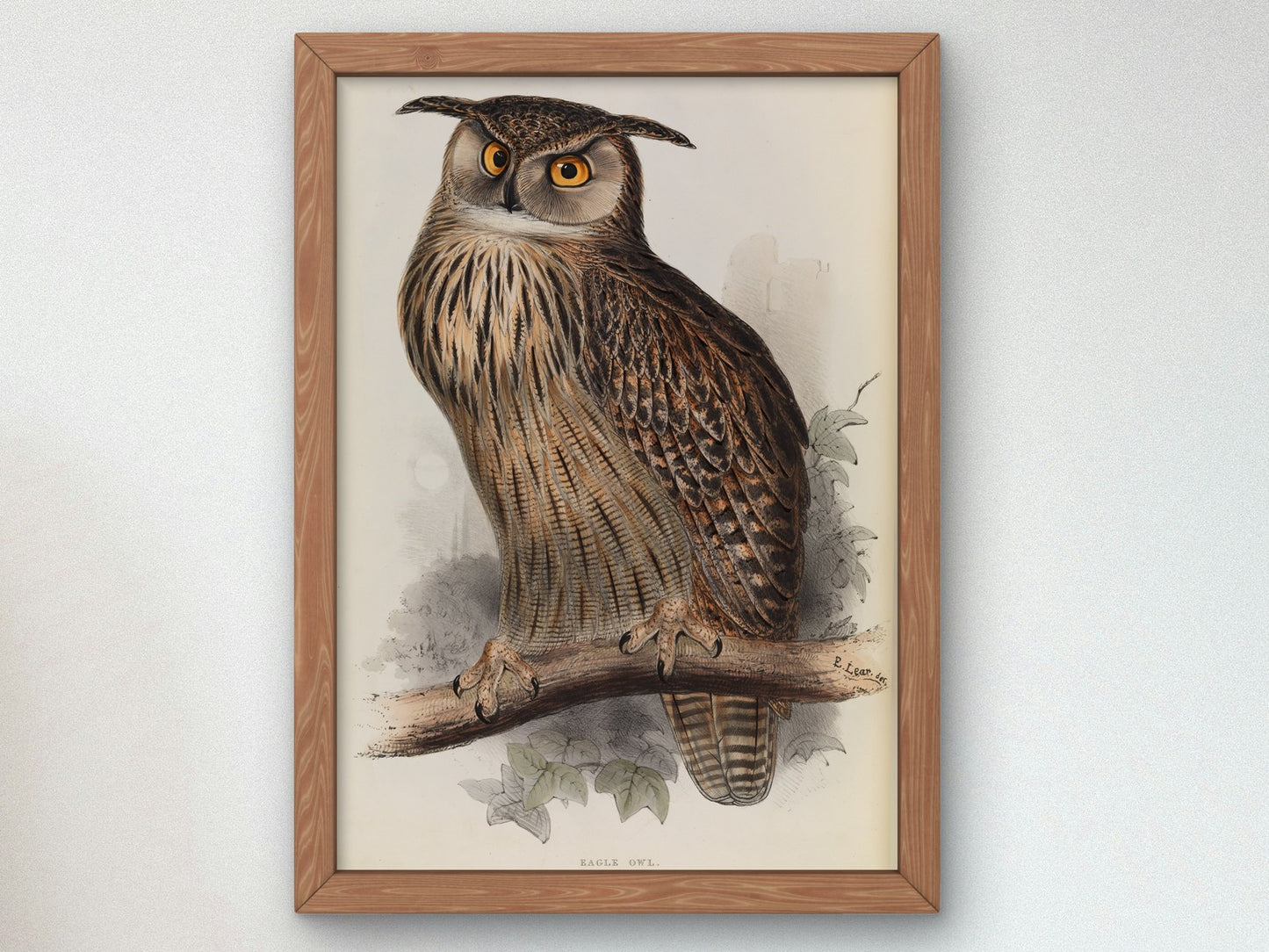 Eagle Owl by Edward Lear 1832, Wall Art Print, Fine Art Reproduction, Museum Quality Decor, Poster
