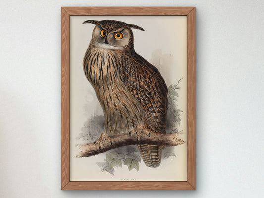 Eagle Owl by Edward Lear 1832, Wall Art Print, Fine Art Reproduction, Museum Quality Decor, Poster
