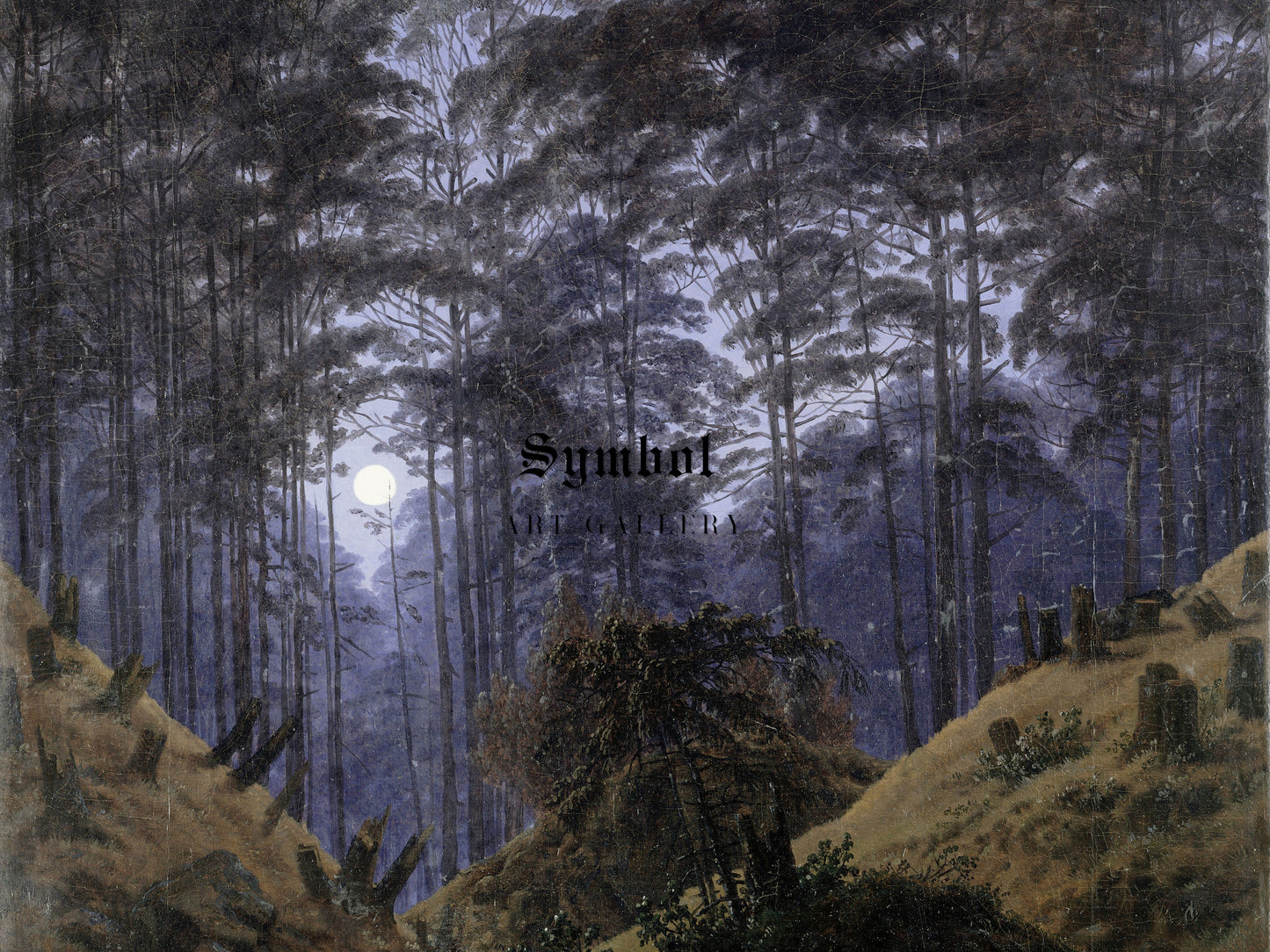Inside the Forest in the Moonlight by Caspar David Friedrich 1823, Wall Art Print, Fine Art Reproduction, Museum Quality Decor, Poster