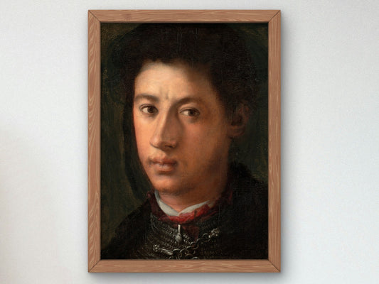 Portrait of Alessandro de Medici by Jacopo da Pontormo 1534, Wall Art Print, Fine Art Reproduction, Museum Quality Decor, Poster