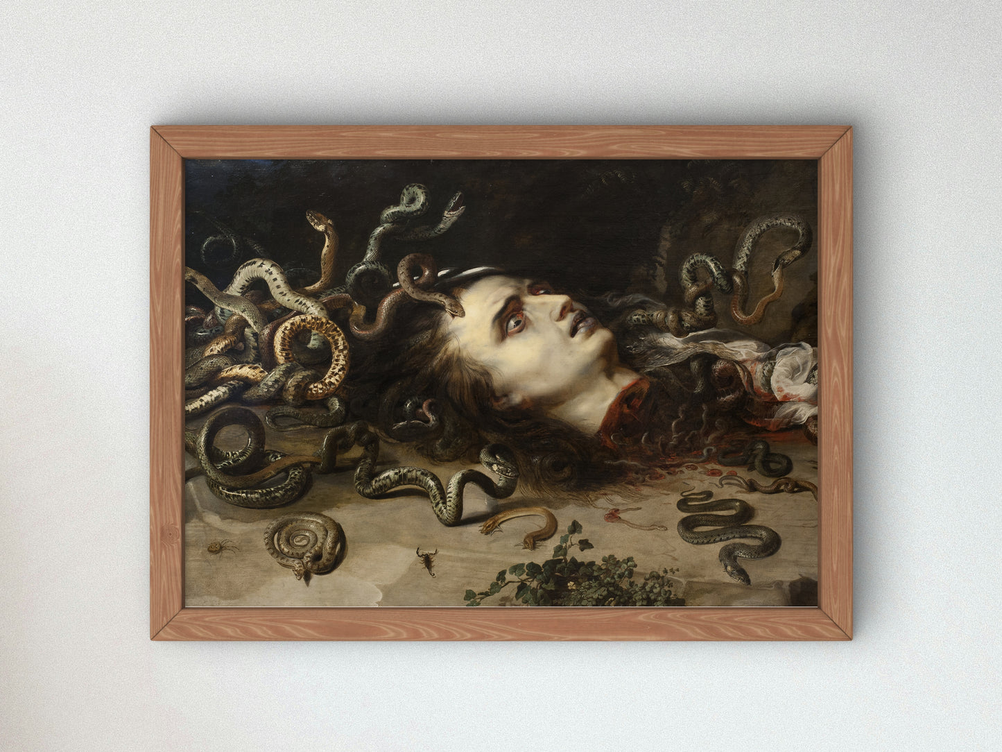 Head of Medusa by Peter Paul Rubens 1617, Wall Art Print, Fine Art Reproduction, Museum Quality Decor, Poster