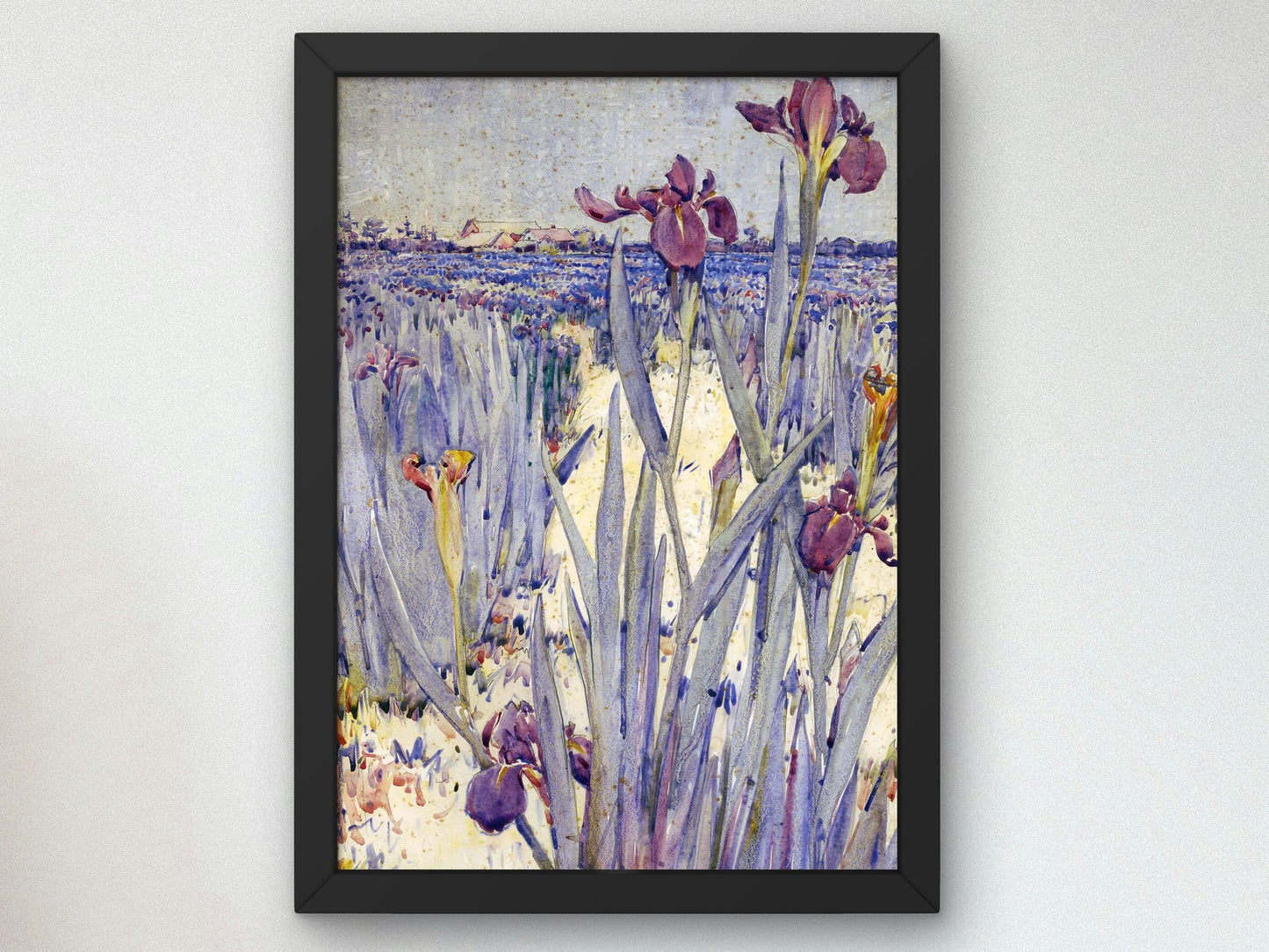 Iris Field Near Newcomb Greenhouse by Ellsworth Woodward 1911, Wall Art Print, Fine Art Reproduction, Museum Quality Decor, Poster