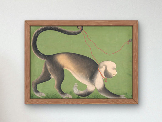 Monumental Portrait of a Monkey by Stipple Master, 1710, Orientalism and Exoticism, fine art print