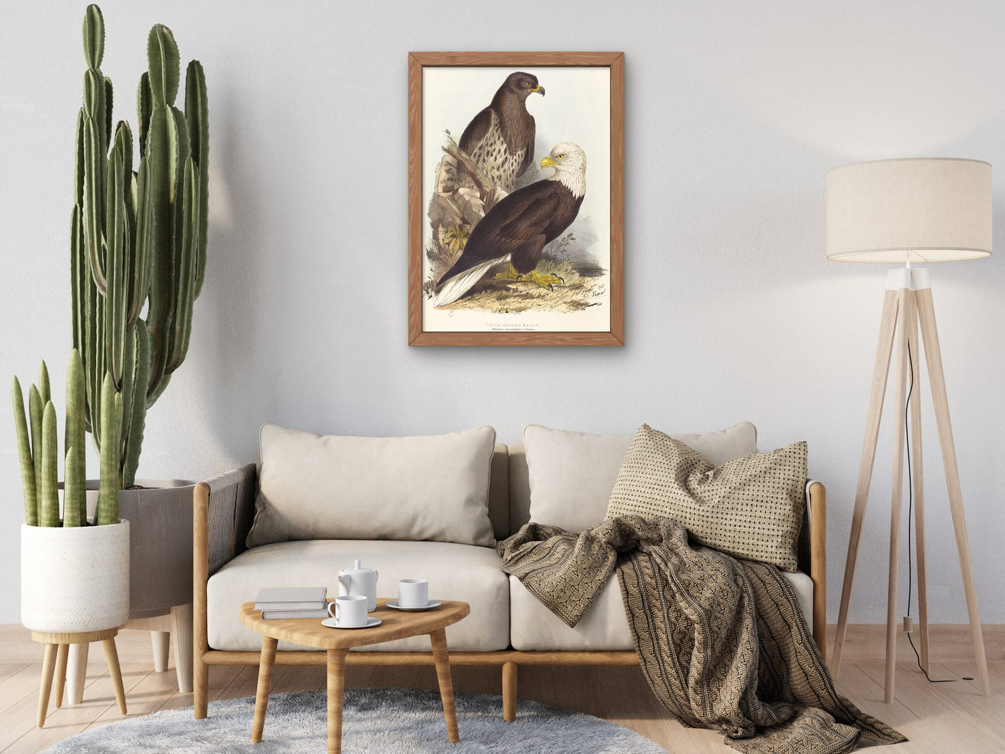 White Headed Eagle by Edward Lear 1832, Wall Art Print, Fine Art Reproduction, Museum Quality Decor, Poster