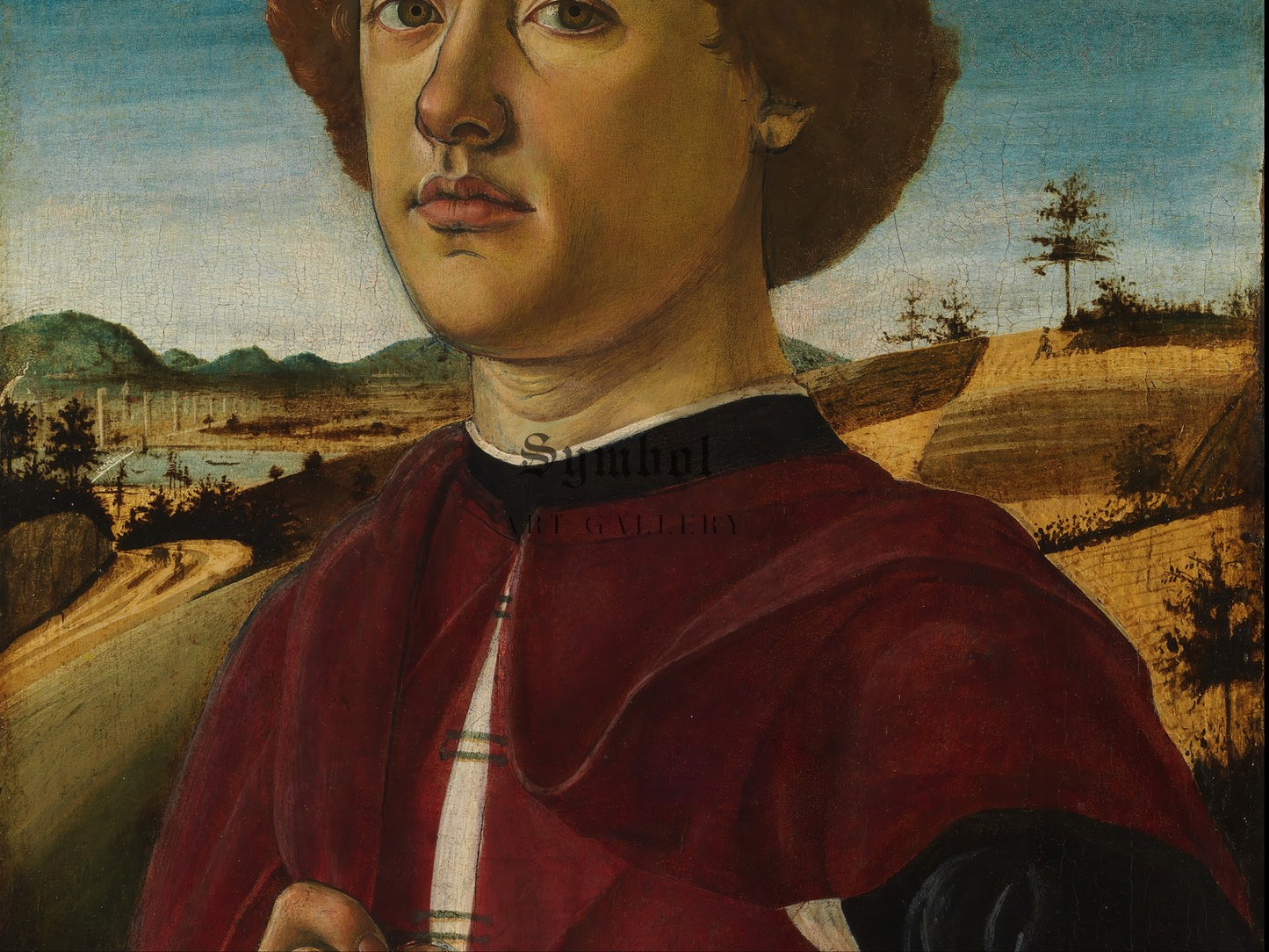 Portrait of a Young Man by Biagio d'Antonio 1470, Wall Art Print, Fine Art Reproduction, Museum Quality Decor, Poster