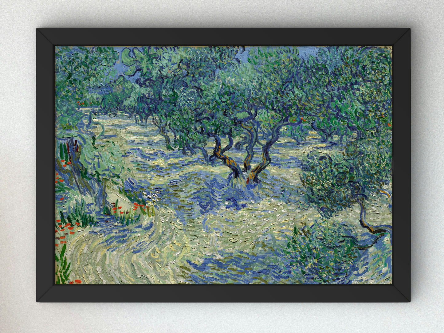 Olive Orchard by Vincent van Gogh 1889, Wall Art Print, Fine Art Reproduction, Museum Quality Decor, Poster