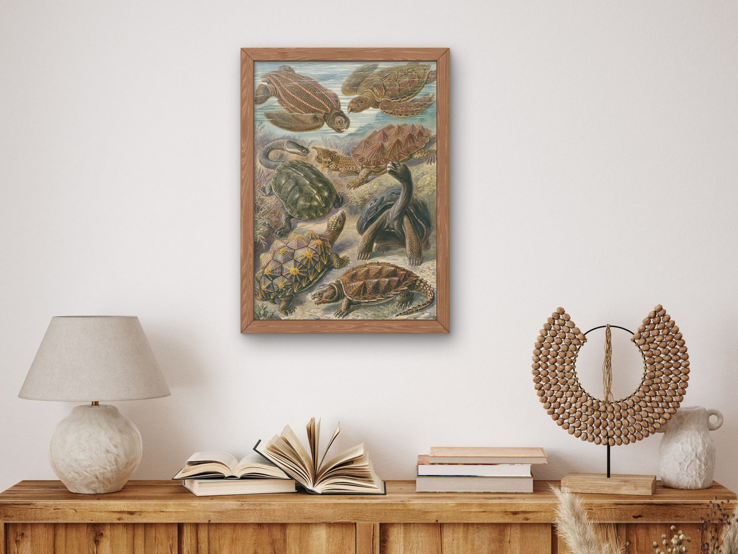 Chelonia Turtles Tortoises and Terrapins by Ernst Haeckel 1899, Wall Art Print, Fine Art Reproduction, Museum Quality Decor, Poster