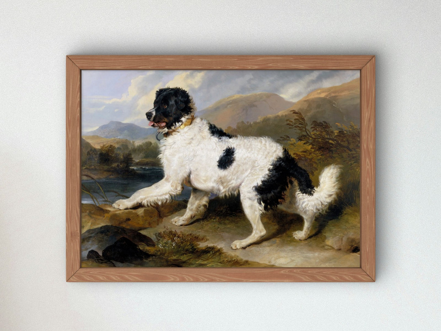 A Newfoundland Dog by Edwin Landseer 1824, Wall Art Print, Fine Art Reproduction, Museum Quality Decor, Poster