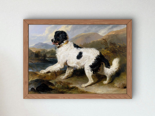 A Newfoundland Dog by Edwin Landseer 1824, Wall Art Print, Fine Art Reproduction, Museum Quality Decor, Poster