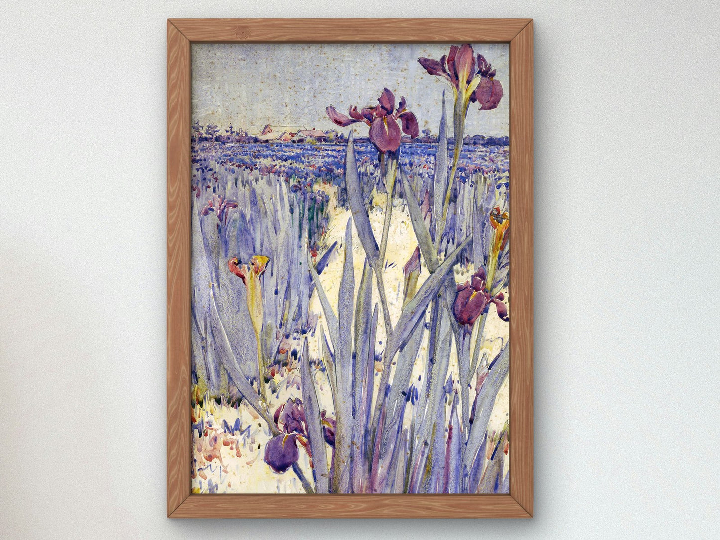 Iris Field Near Newcomb Greenhouse by Ellsworth Woodward 1911, Wall Art Print, Fine Art Reproduction, Museum Quality Decor, Poster