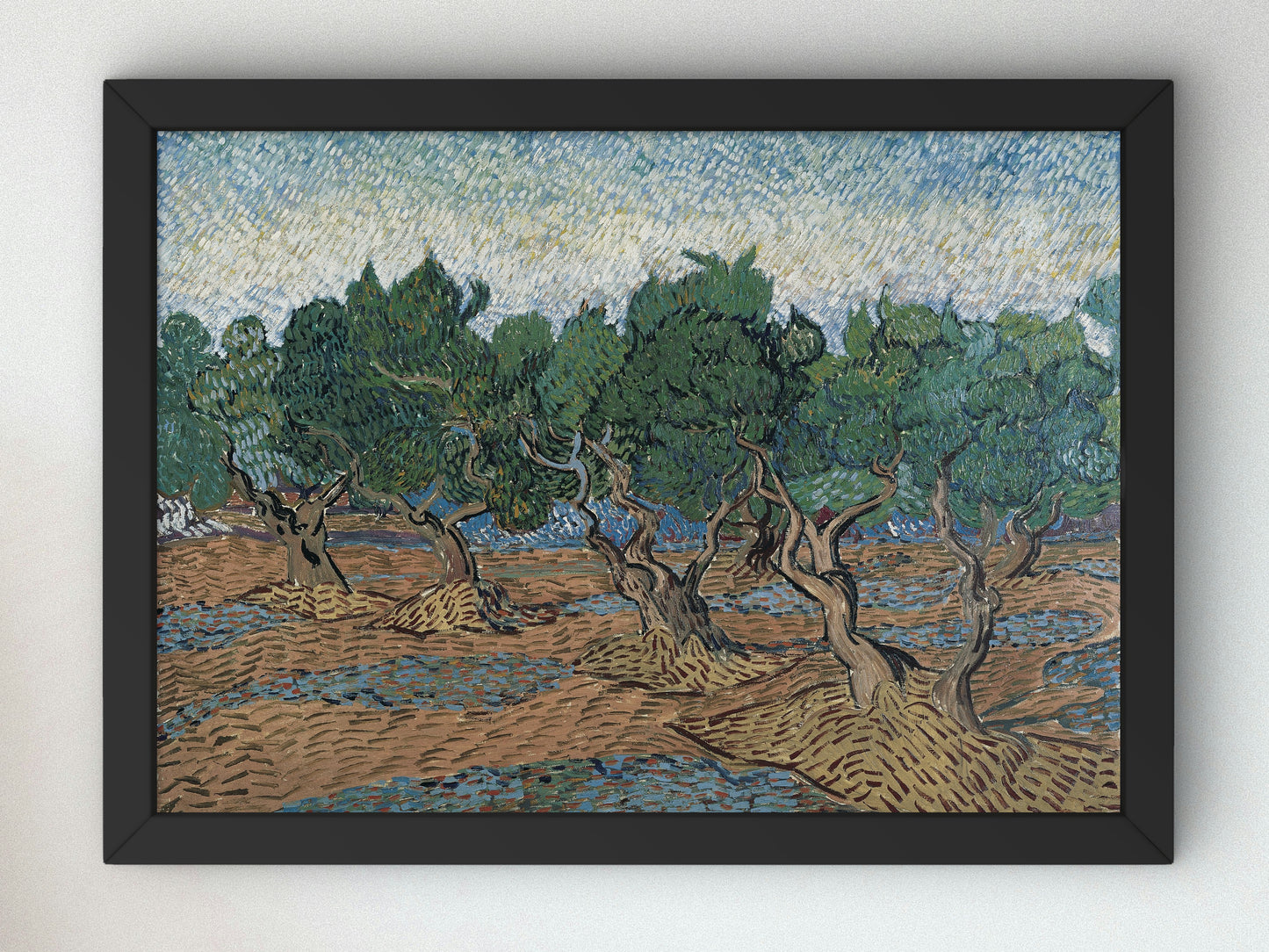 Olive Grove by Vincent van Gogh 1889, Wall Art Print, Fine Art Reproduction, Museum Quality Decor, Poster