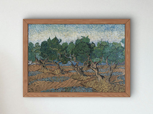 Olive Grove by Vincent van Gogh 1889, Wall Art Print, Fine Art Reproduction, Museum Quality Decor, Poster