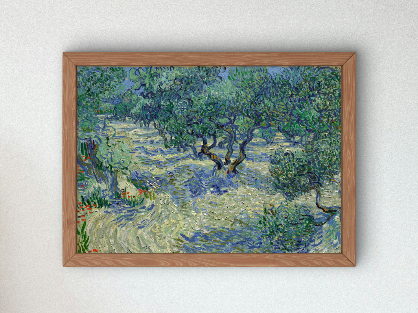 Olive Orchard by Vincent van Gogh 1889, Wall Art Print, Fine Art Reproduction, Museum Quality Decor, Poster