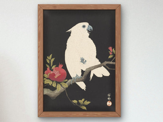 Cockatoo and Pomegranate by Ohara Koson, 1930, Japanese Woodblock Prints, fine art print