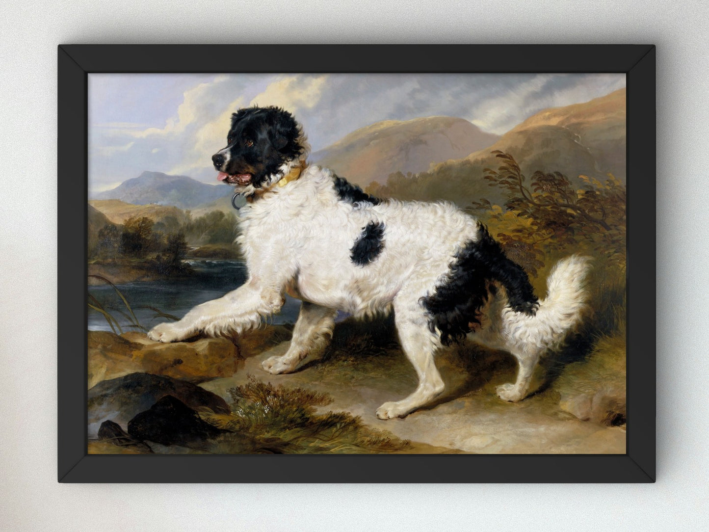 A Newfoundland Dog by Edwin Landseer 1824, Wall Art Print, Fine Art Reproduction, Museum Quality Decor, Poster