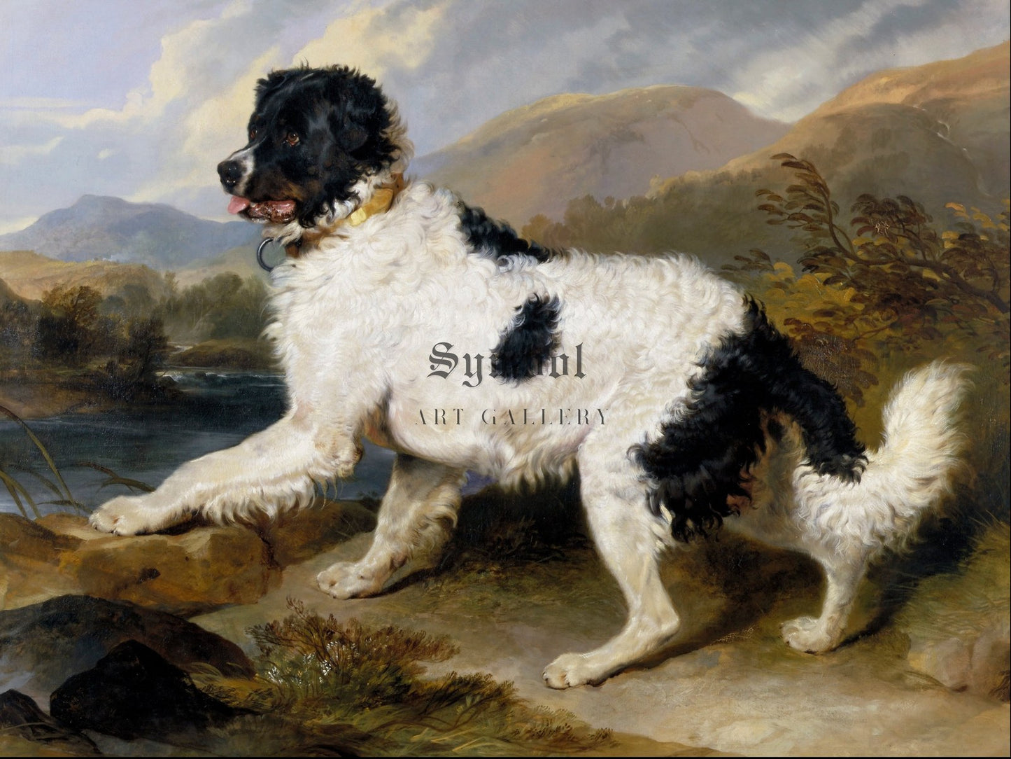 A Newfoundland Dog by Edwin Landseer 1824, Wall Art Print, Fine Art Reproduction, Museum Quality Decor, Poster
