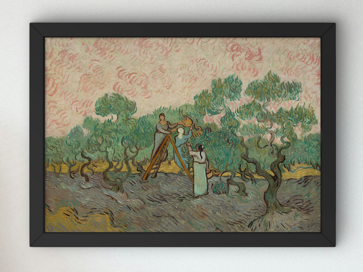 Women Picking Olives by Vincent van Gogh 1889, Wall Art Print, Fine Art Reproduction, Museum Quality Decor, Poster