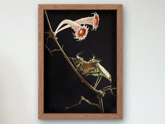 Insect with Flowers by Franz Sedlacek, 1935, Art Deco and American Modernism, fine art print