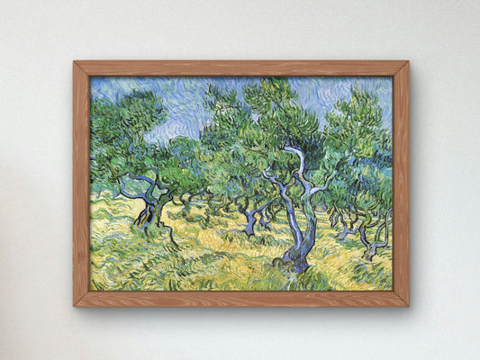 Olive Grove by Vincent van Gogh, 1889, Post-Impressionism, fine art print