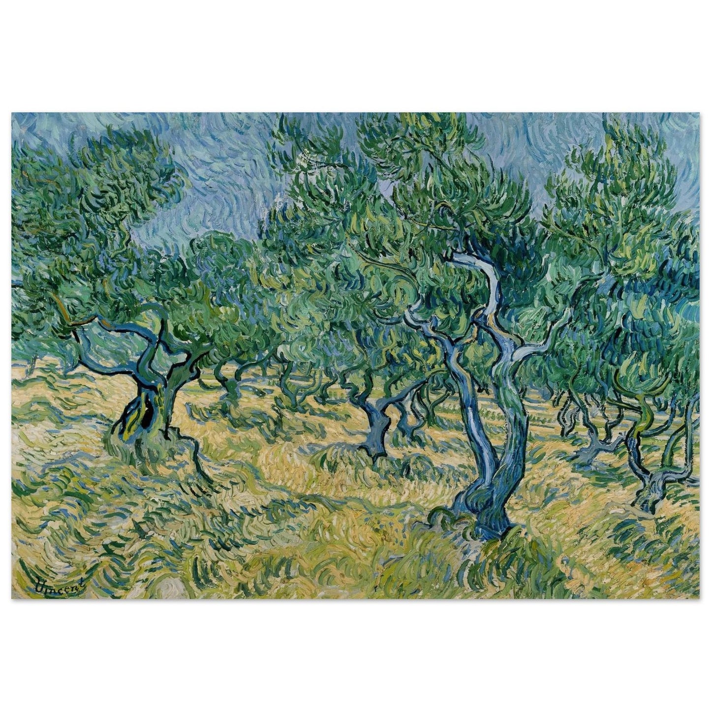 Olive Grove by Vincent van Gogh, 1889, Post-Impressionism, fine art print