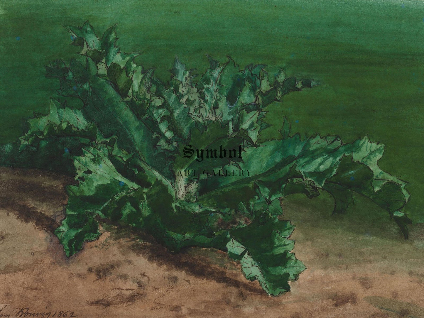Study of a Plant Possibly Thistle by Leon Bonvin, 1862, Botanical and Nature Illustration, fine art print